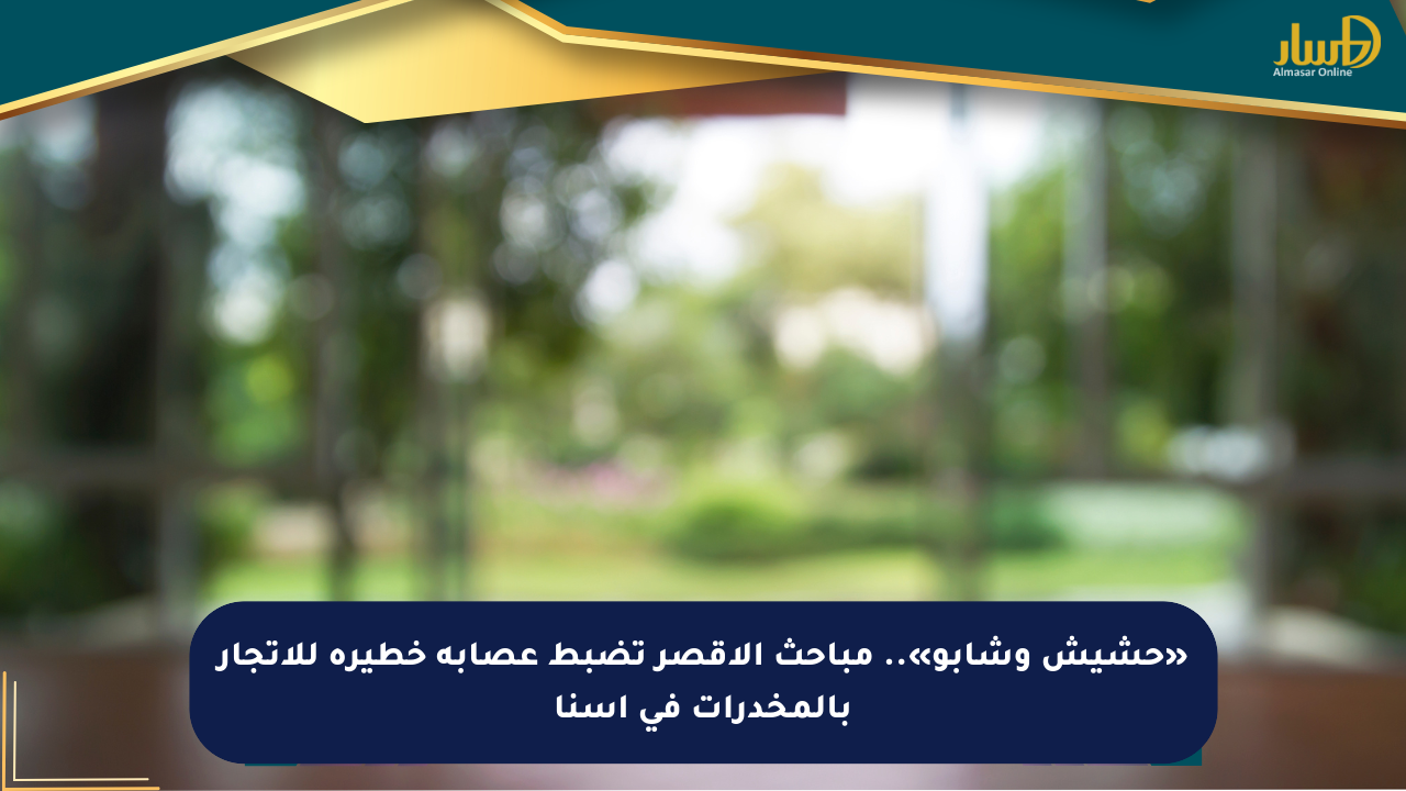 «حشيش وشابو».. مباحث الأقصر تضبط عصابة خطيرة للاتجار بالمخدرات في إسنا